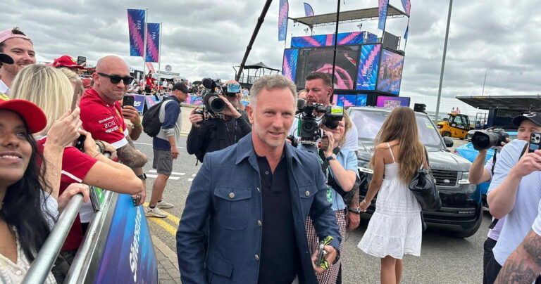 FIA president backs Christian Horner for F1 return
