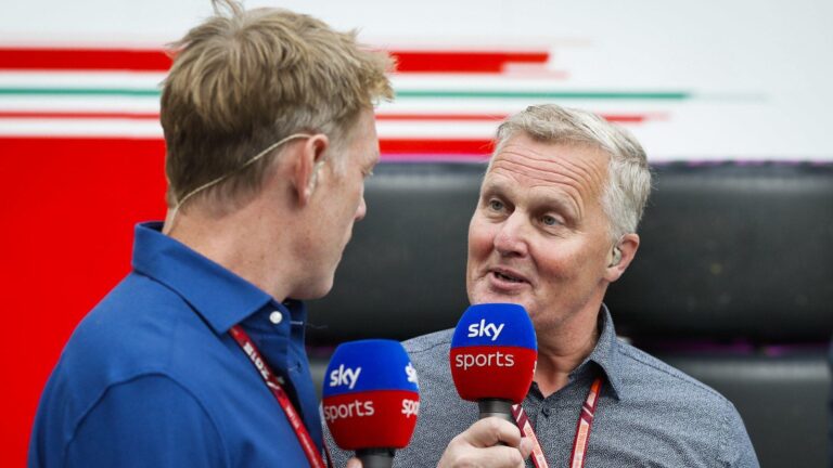 Herbert revela ataques que recebeu de fãs de Verstappen