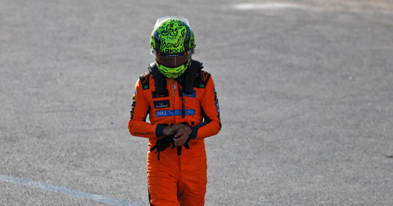 Lando Norris latest online abuse victim after Franco Colapinto 'race ban' comment