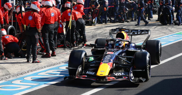Max Verstappen makes bizarre Red Bull 'turtle' comparison after Monza pain